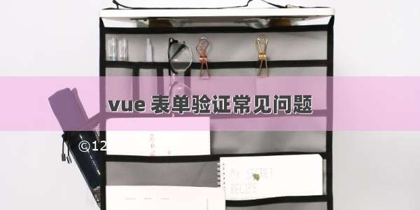 vue 表单验证常见问题