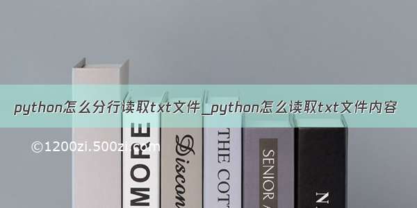 python怎么分行读取txt文件_python怎么读取txt文件内容