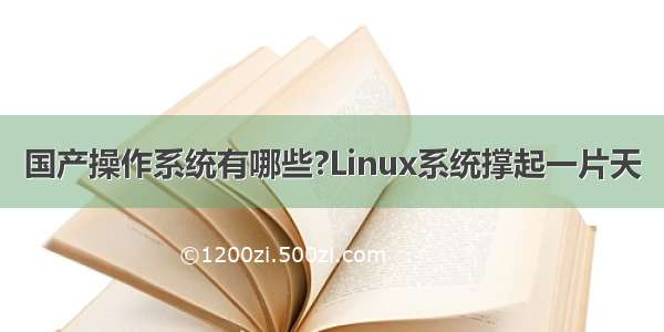 国产操作系统有哪些?Linux系统撑起一片天