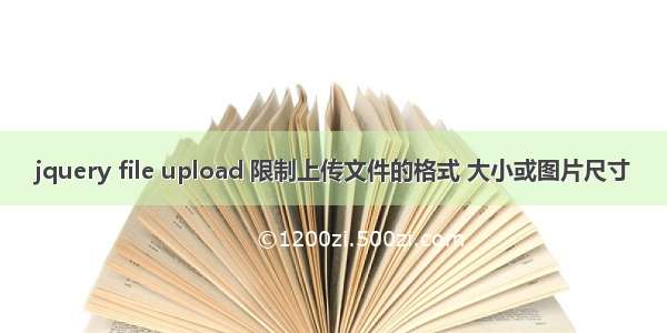 jquery file upload 限制上传文件的格式 大小或图片尺寸