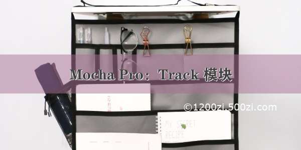 Mocha Pro：Track 模块