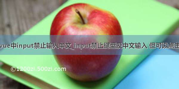 vue中input禁止输入中文_input禁止键盘及中文输入 但可以点击