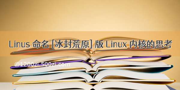 Linus 命名 [冰封荒原] 版 Linux 内核的思考