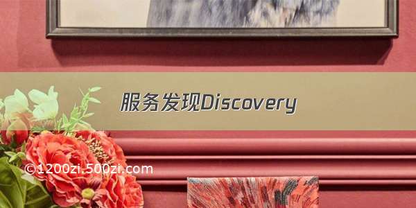 服务发现Discovery