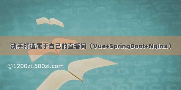 动手打造属于自己的直播间（Vue+SpringBoot+Nginx）