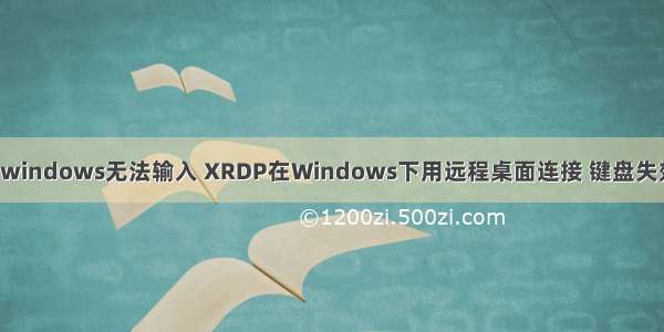 linux远程windows无法输入 XRDP在Windows下用远程桌面连接 键盘失效有关问题