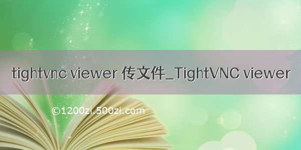 tightvnc viewer 传文件_TightVNC viewer