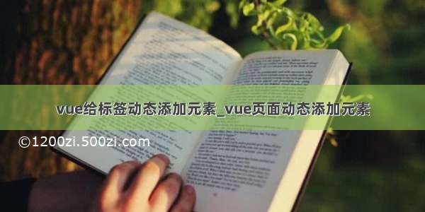 vue给标签动态添加元素_vue页面动态添加元素