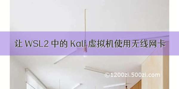 让 WSL2 中的 Kali 虚拟机使用无线网卡