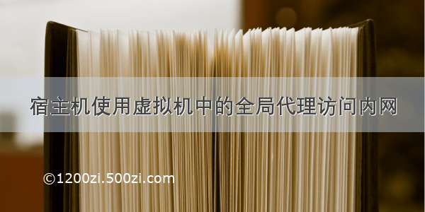 宿主机使用虚拟机中的全局代理访问内网