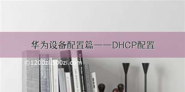 华为设备配置篇——DHCP配置