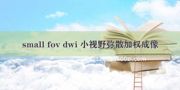 small fov dwi 小视野弥散加权成像