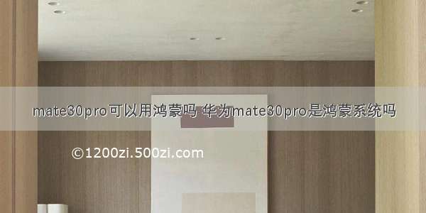 mate30pro可以用鸿蒙吗 华为mate30pro是鸿蒙系统吗