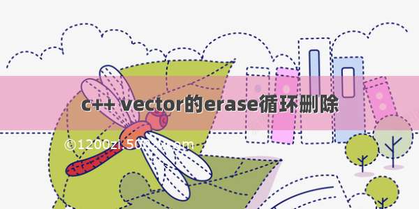 c++ vector的erase循环删除