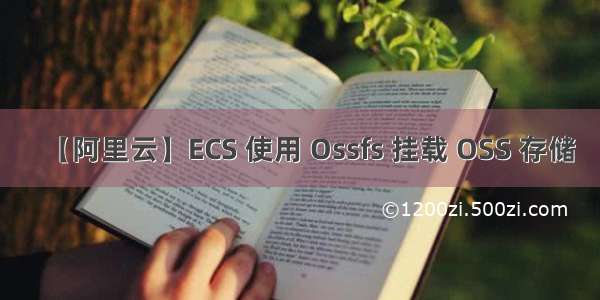 【阿里云】ECS 使用 Ossfs 挂载 OSS 存储