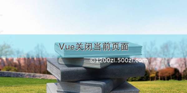 Vue关闭当前页面