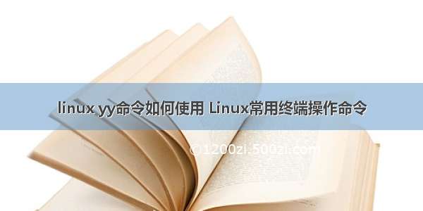 linux yy命令如何使用 Linux常用终端操作命令