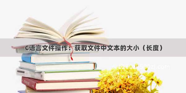 C语言文件操作：获取文件中文本的大小（长度）