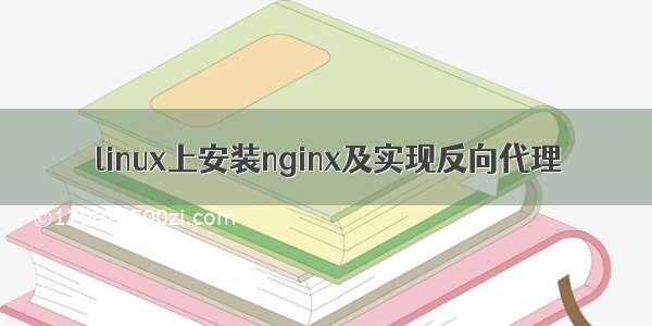 linux上安装nginx及实现反向代理