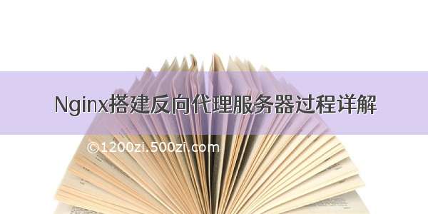 Nginx搭建反向代理服务器过程详解