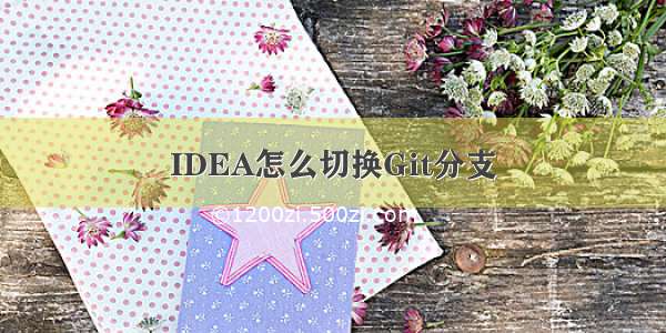 IDEA怎么切换Git分支