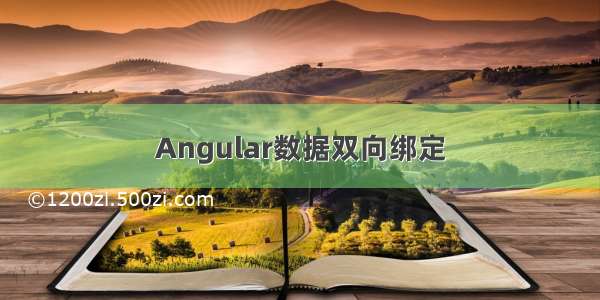 Angular数据双向绑定