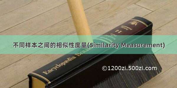 不同样本之间的相似性度量(Similarity Measurement)