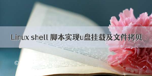 Linux shell 脚本实现u盘挂载及文件拷贝