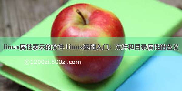 linux属性表示的文件 Linux基础入门：文件和目录属性的含义