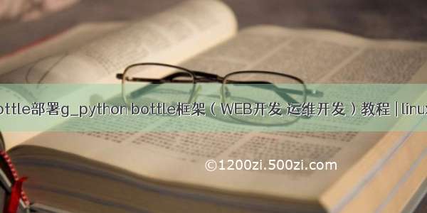 python bottle部署g_python bottle框架（WEB开发 运维开发）教程 | linux系统运维