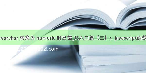 从数据类型 nvarchar 转换为 numeric 时出错_JS入门篇（三）：javascript的数据类型详解...