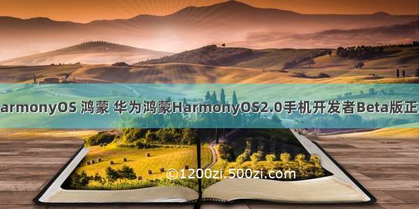 华为HarmonyOS 鸿蒙 华为鸿蒙HarmonyOS2.0手机开发者Beta版正式发布