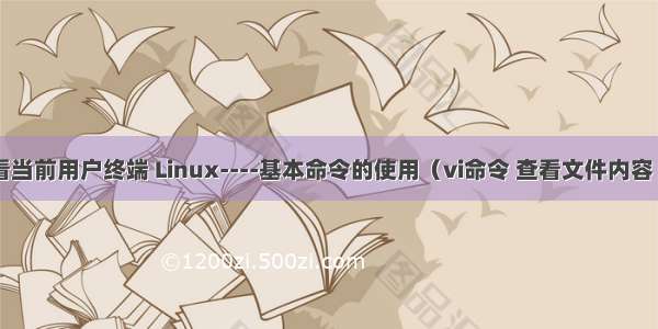 linux查看当前用户终端 Linux----基本命令的使用（vi命令 查看文件内容 显示进程 