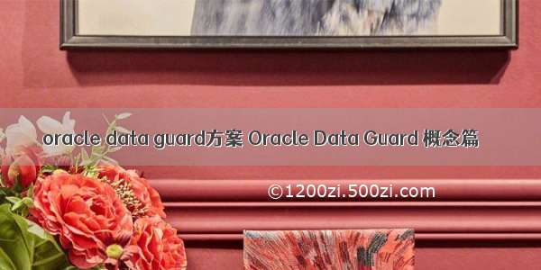 oracle data guard方案 Oracle Data Guard 概念篇