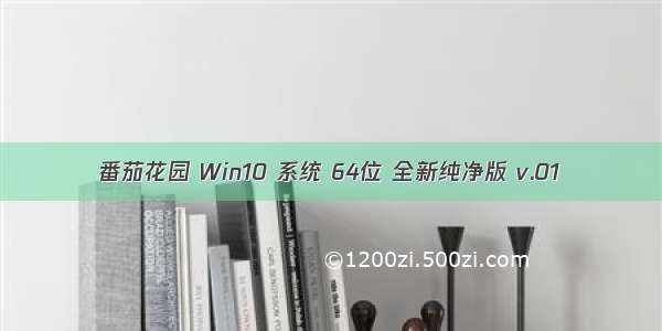 番茄花园 Win10 系统 64位 全新纯净版 v.01