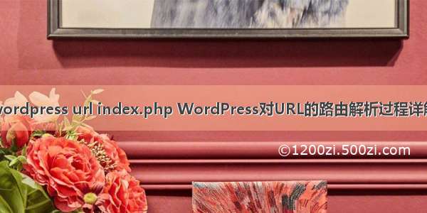 wordpress url index.php WordPress对URL的路由解析过程详解