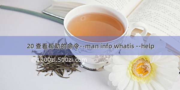 20 查看帮助的命令--man info whatis --help