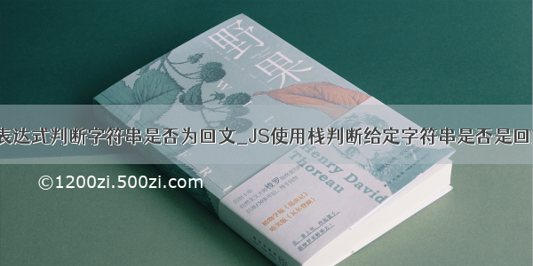 python 正则表达式判断字符串是否为回文_JS使用栈判断给定字符串是否是回文算法示例...