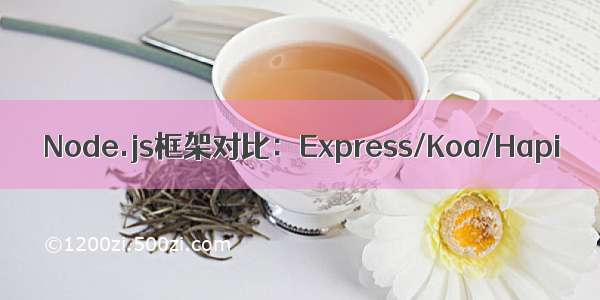 Node.js框架对比：Express/Koa/Hapi