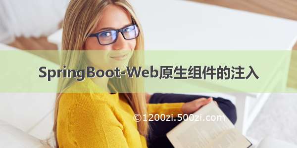 SpringBoot-Web原生组件的注入