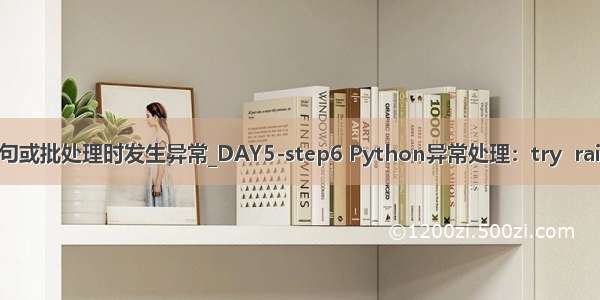 执行transact-sql语句或批处理时发生异常_DAY5-step6 Python异常处理：try  raise except  finally...