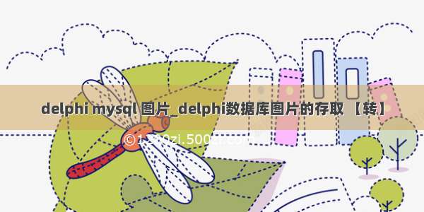 delphi mysql 图片_delphi数据库图片的存取 【转】