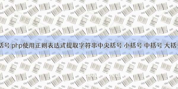 php 正则 尖括号 php使用正则表达式提取字符串中尖括号 小括号 中括号 大括号中的字符...