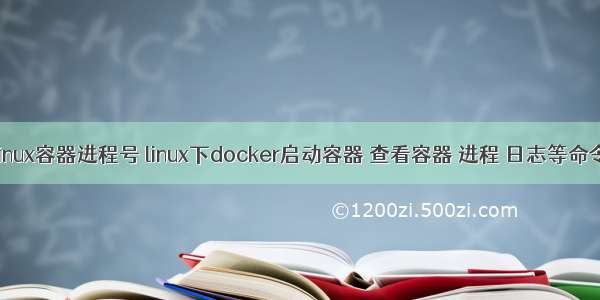 linux容器进程号 linux下docker启动容器 查看容器 进程 日志等命令