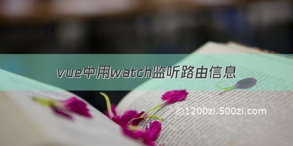 vue中用watch监听路由信息