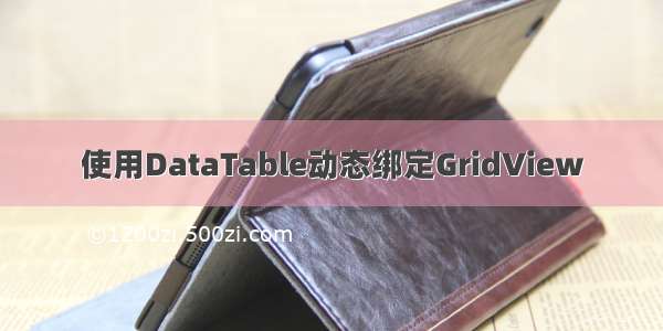 使用DataTable动态绑定GridView