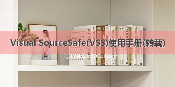 Visual SourceSafe(VSS)使用手册(转载)