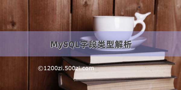 MySQL字段类型解析