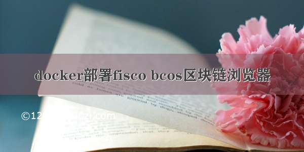 docker部署fisco bcos区块链浏览器