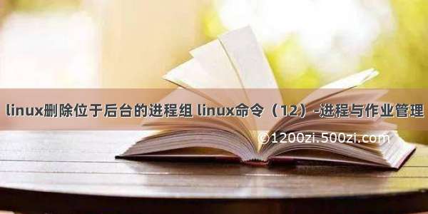 linux删除位于后台的进程组 linux命令（12）-进程与作业管理